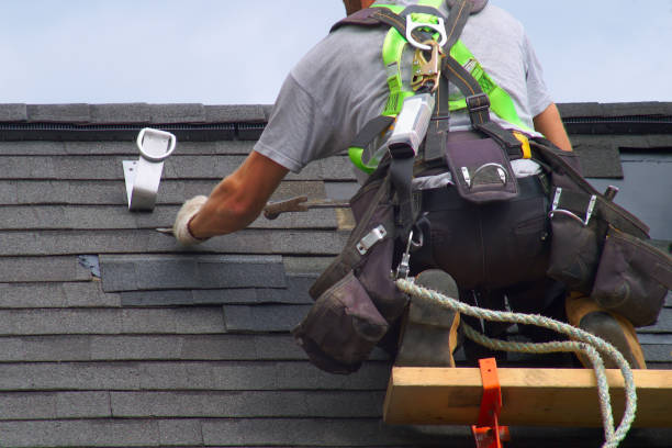 Best Roof Gutter Cleaning  in Franklin, NJ