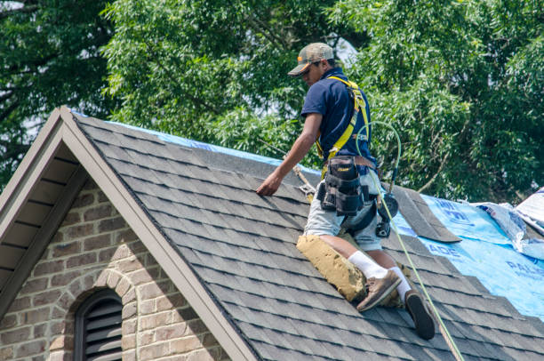 Best New Roof Installation  in Franklin, NJ